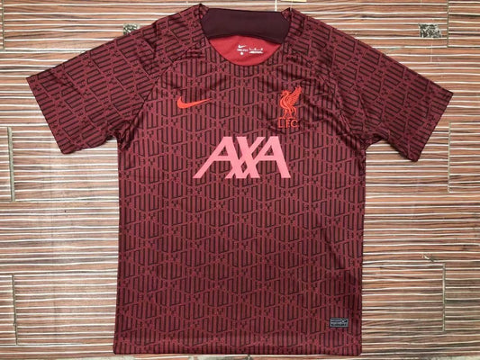 Liverpool Training kit