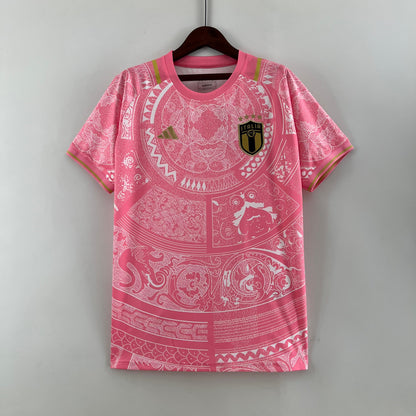 Italy 2023 Special pink kit