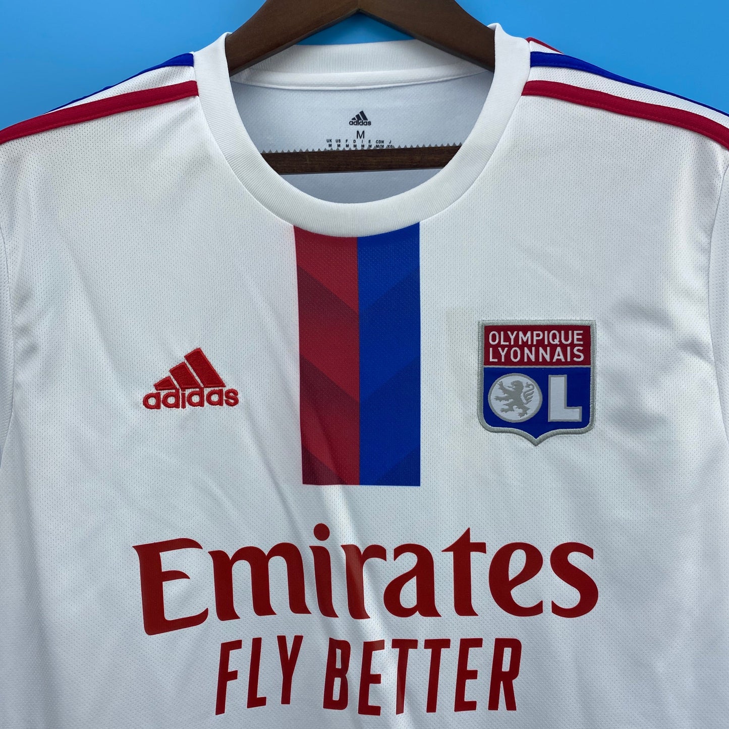 Lyon 22/23 Home kit